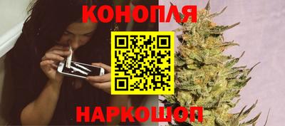 стаф Краснокаменск